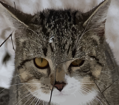 Kočičí obličej vektorové ilustrace