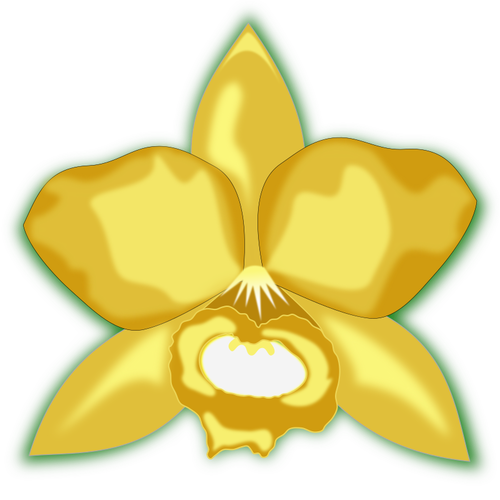 Cattleya żółty