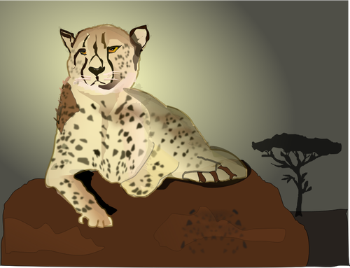 Cheetah liggende på rock vektor image
