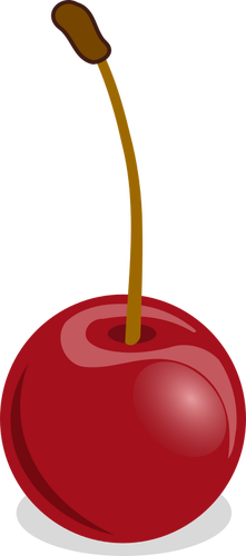 Cherries vector drawing