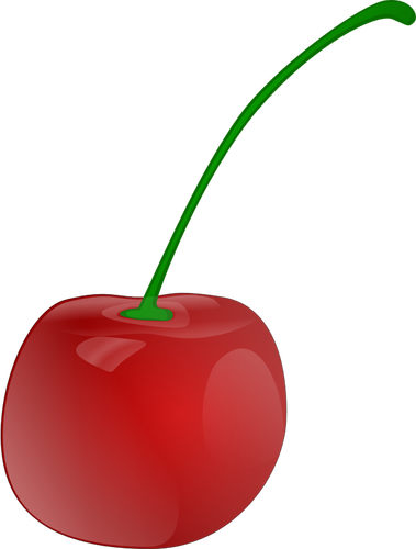 Photorealistic vector graphics of cherry