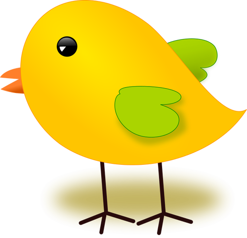 Yellow chick vector image