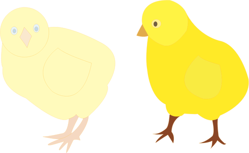 黄色の濃淡で 2 つの雛のベクトル画像