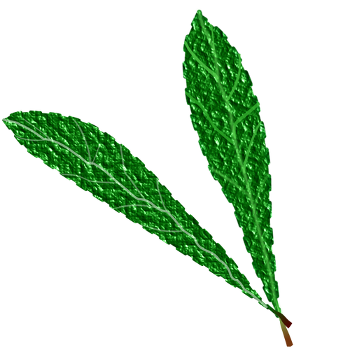 Текстурированные зеленые листья