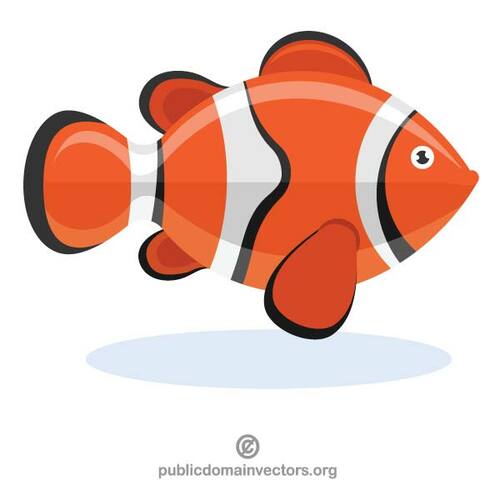 Clownfish