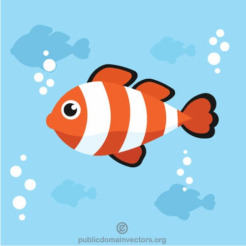 A clownfish