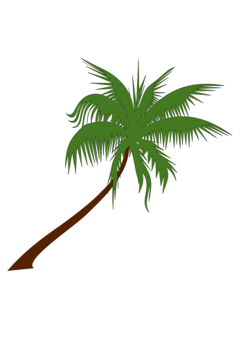 Palm tree