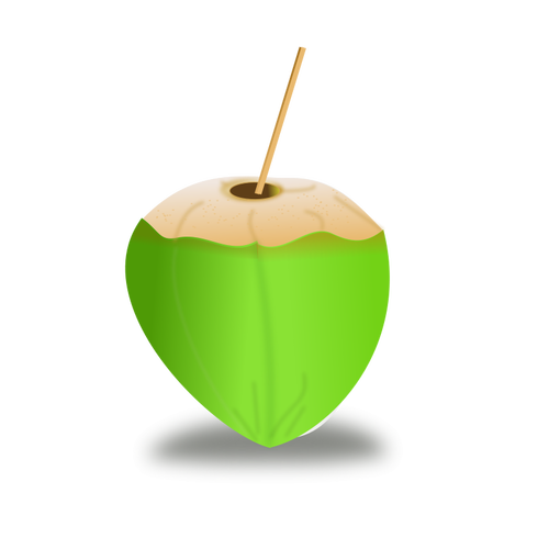 Zelený kokos vektorový obrázek