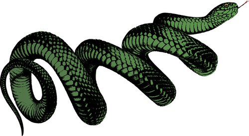 コイル状の緑のヘビ