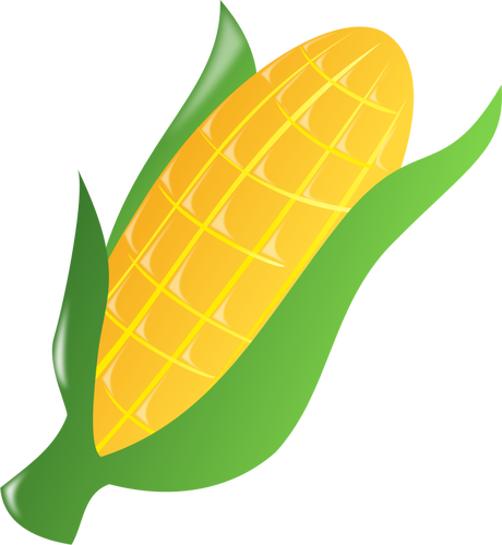 玉米棒 2