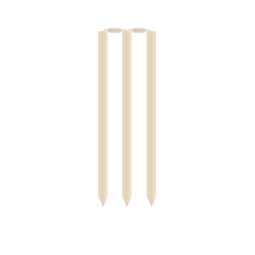 Cricket stubbar och rails vektorbild