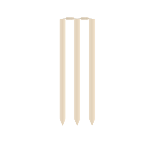 Cricket stumps and rails vector image