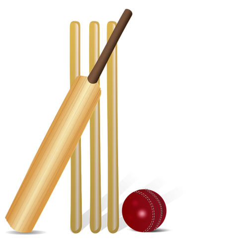 Vector drawing of cricket equipment