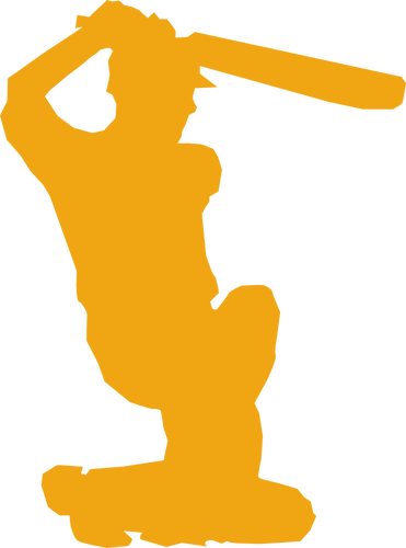 Cricket player silhouette vector image