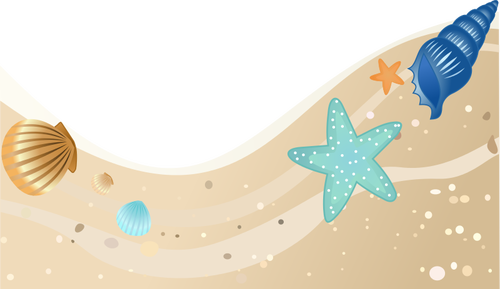 Summer beach with seashells vector image