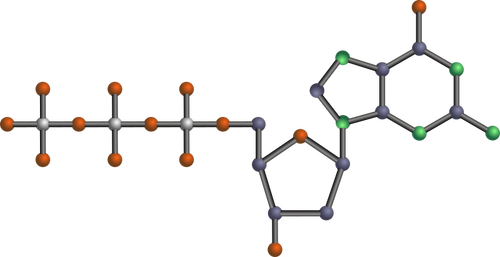 Molécule d’ADN