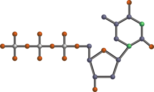 TTP model