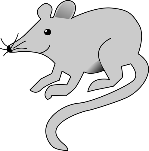 Rat vector image