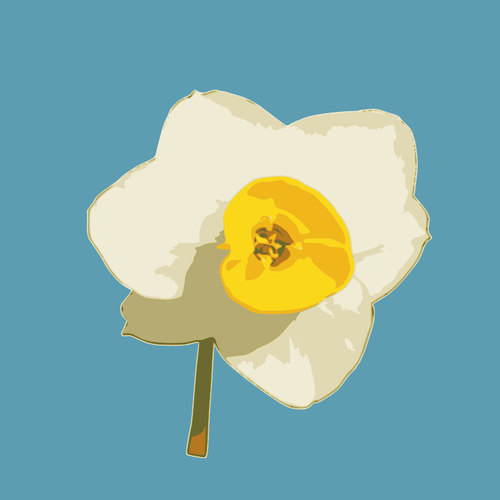 Daffodil on blue background