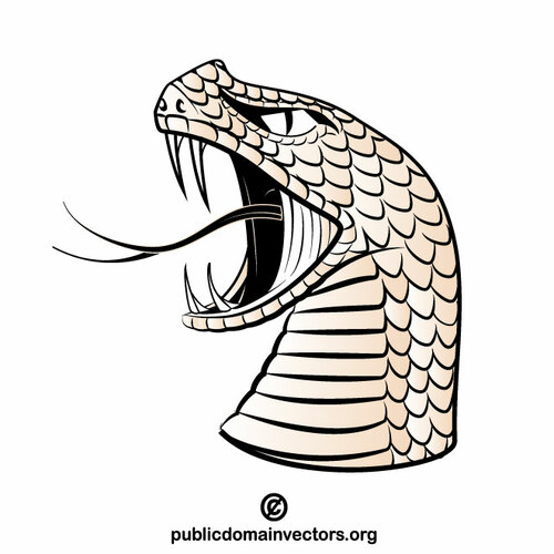 Dangerous snake head