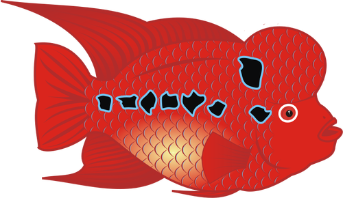 Vector de peces Flowerhorn