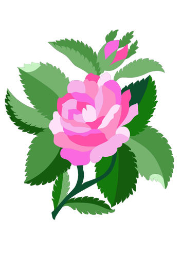 Design pentru rose de Damasc