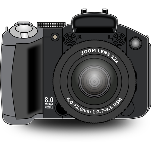 Digital zoom camera