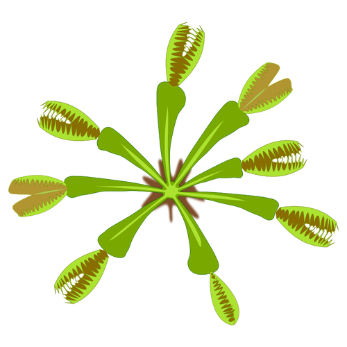 Grafica vectoriala de plante carnivore Vezi de sus