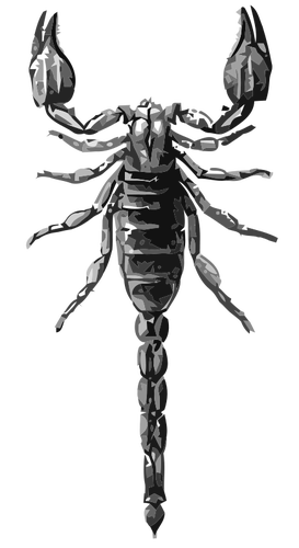 Scorpion grayscale vector drawing