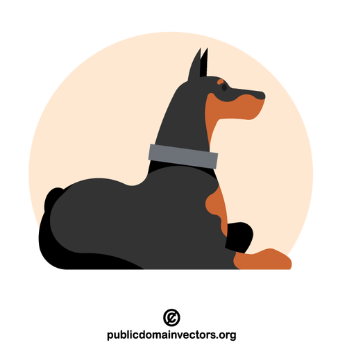 Doberman cão de estimação