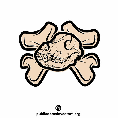 Dog skull and bone