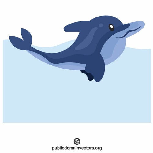 Dolfijn in de zee
