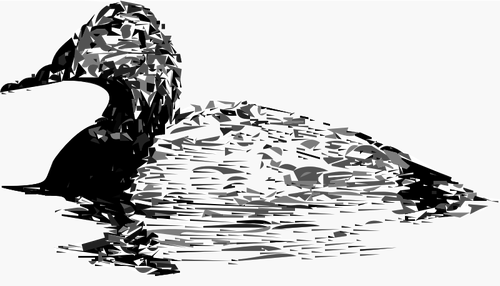 Drake canvasback grafică vectorială