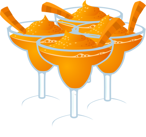 Морковь Маргарита оздоровительные напитки векторные картинки