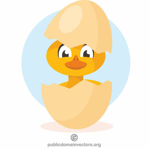 Duckling