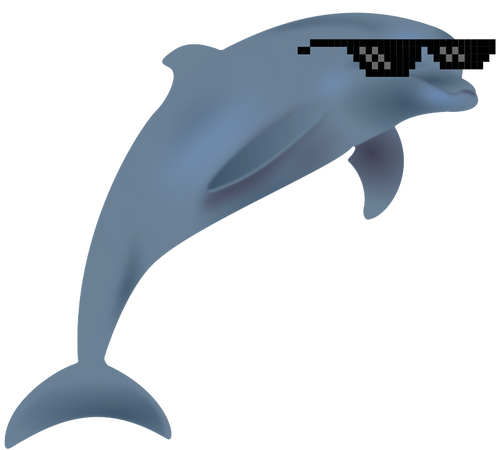 Coole dolfijn