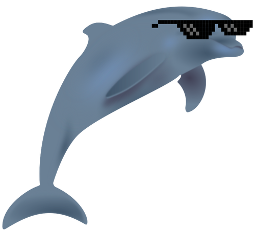 Dolphin cool