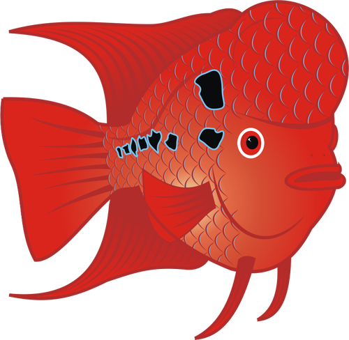 Pesce rosso rosso