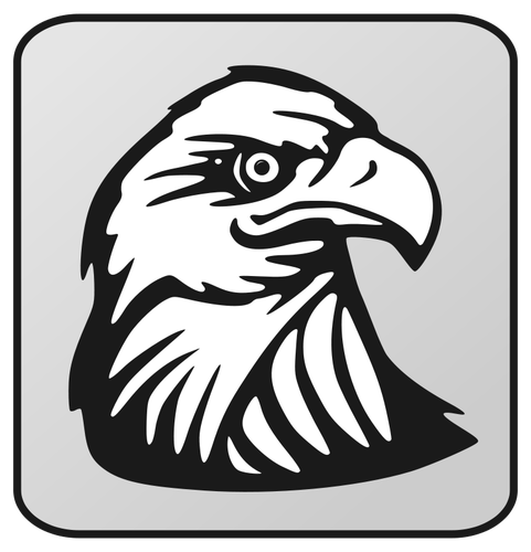 Eagle Vector illustraties