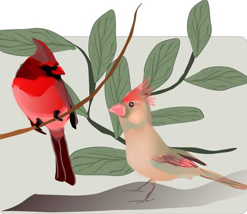 Vector image of colorful sparrows on a tree branch