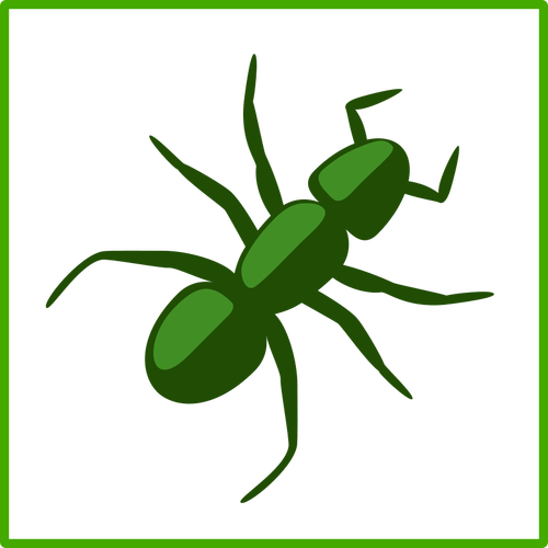 Dibujo vectorial de araña verde