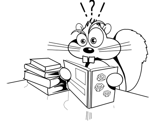 Studying squirrel vector image