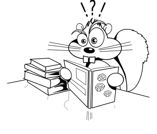 Studying squirrel vector image