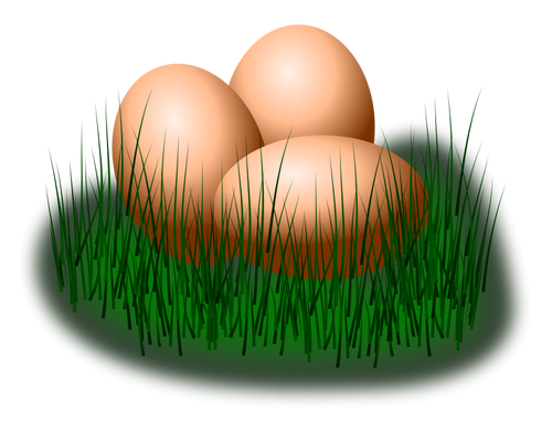 Яйца в траве векторное изображение