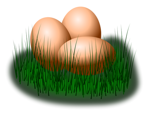 Eggs in grass vector image