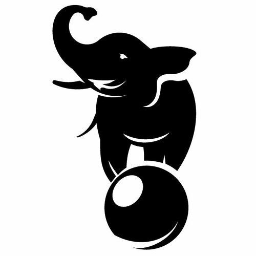 Słoń balansujący na piłce