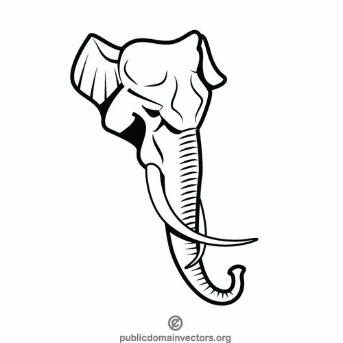 Elephant trunk silhouette