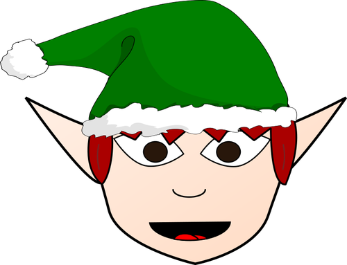 zadowolony Boże Narodzenie elf