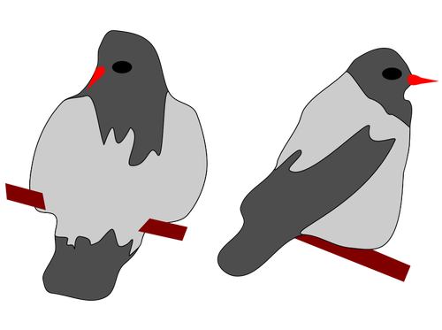 İki güvercin