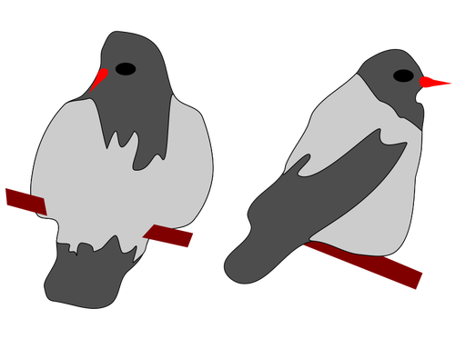 Two pigeons